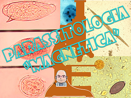 parassitologia-magnetica-nm