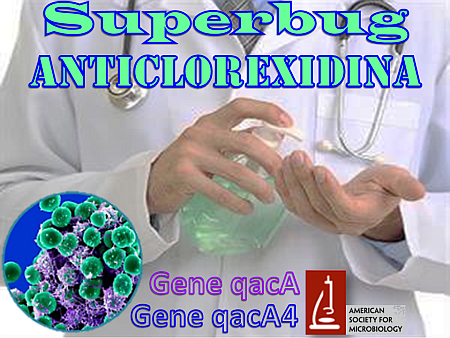 superbug-anticlorexidina-nm