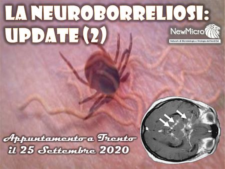 la-neuroborreliosi-update-2nm