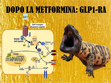 Dopo la metformina GLP1 nm